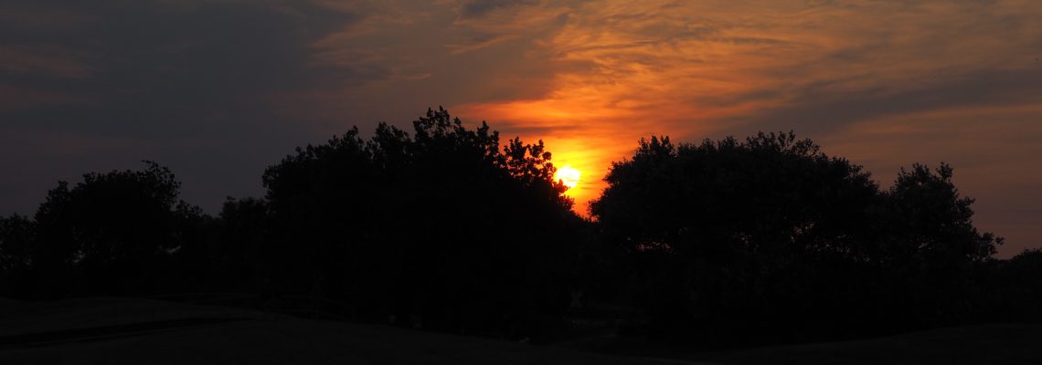 Sonnenuntergang hinter Bäumen