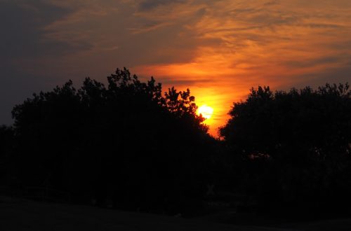 Sonnenuntergang hinter Bäumen