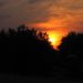 Sonnenuntergang hinter Bäumen