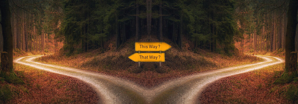 Ein Weg, der sich in zwei Wege aufteilt. Daran zwei Wegweiser: "This way", "That way"