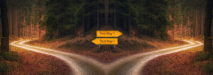 Ein Weg, der sich in zwei Wege aufteilt. Daran zwei Wegweiser: "This way", "That way"