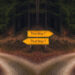 Ein Weg, der sich in zwei Wege aufteilt. Daran zwei Wegweiser: "This way", "That way"