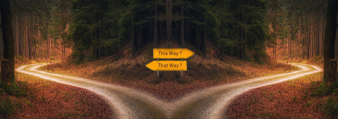 Ein Weg, der sich in zwei Wege aufteilt. Daran zwei Wegweiser: "This way", "That way"